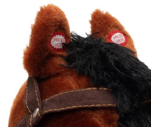 купить Детское кресло-качалка Baby Mix 46440 Лошадка-Качалка Музыкальная в Кишинёве 