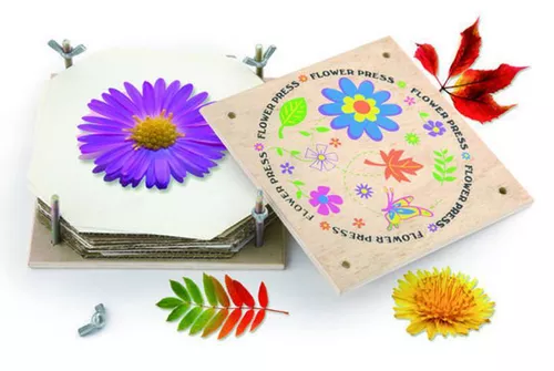 купить Игрушка Viga 59486 Set de dezvoltare presă pentru flori Flower Press в Кишинёве 
