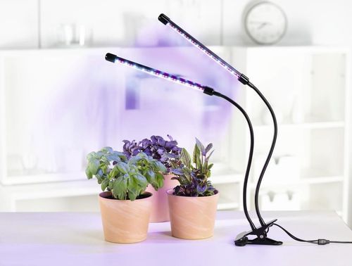 купить Настольная лампа Xavax 112697 Plant Lamp в Кишинёве 