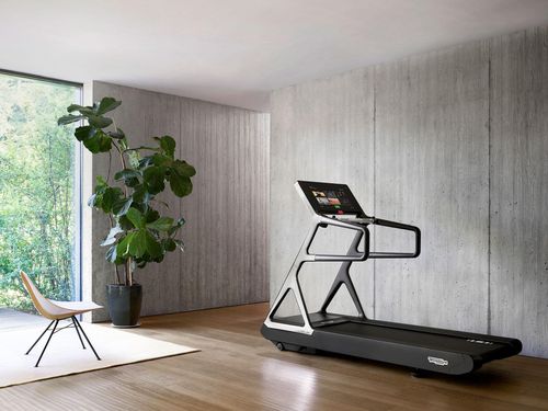 купить Беговая дорожка Technogym 4810 Run Personal (max.160kg) в Кишинёве 
