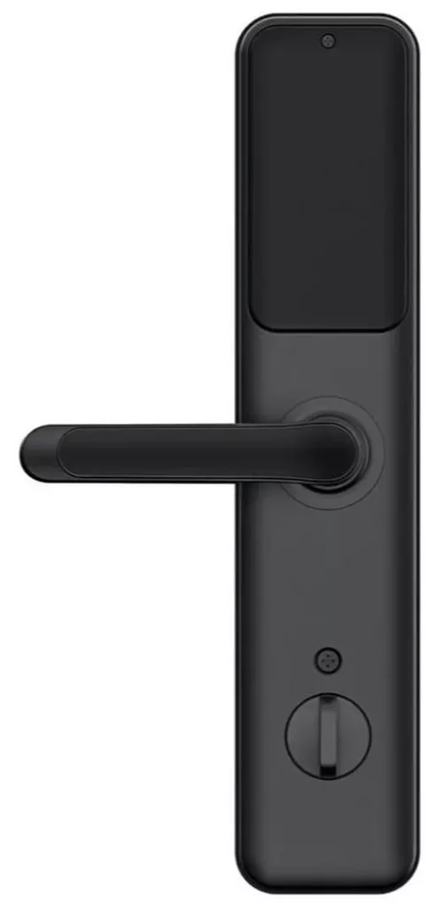 купить Умный дверной замок TTLock H9 Black в Кишинёве 