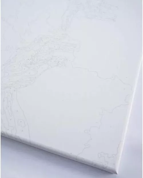 купить Картина по номерам BrushMe BS51376FC 40x50 cm (fără cutie) Fată în culori в Кишинёве 