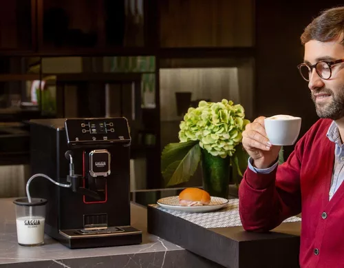 cumpără Automat de cafea Gaggia RI9782/01 New Accademia Inox SS în Chișinău 