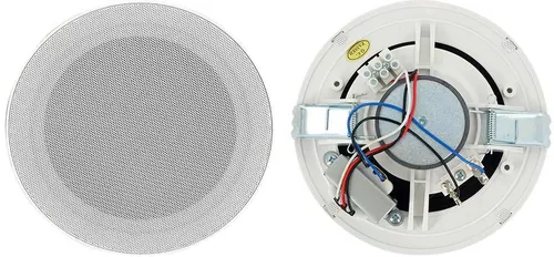купить Профессиональная колонка FYB FYC-105 Difuzor de tavan 3W/6W в Кишинёве 