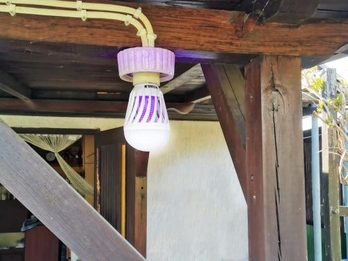 купить Уничтожитель насекомых Noveen IKN803 Light Bulb LED, area up to 40 m2 в Кишинёве 