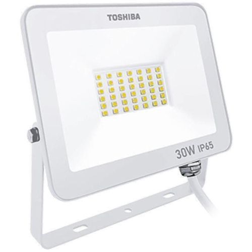 cumpără Reflector Toshiba 00173310 Projector LED IP65 30W 4000K (Alb) în Chișinău 