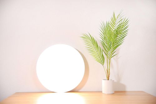 cumpără Corp de iluminat interior Xiaomi Mi LED Smart Ceiling Light în Chișinău 