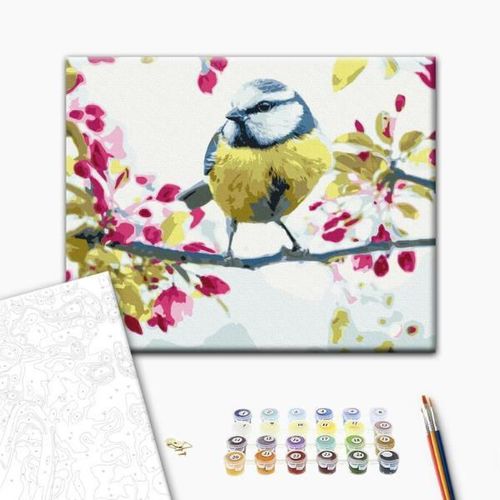 cumpără Tablou pe numere BrushMe RBS51439FC 30x40cm (fără cutie) Pițigoi de primăvară în Chișinău 