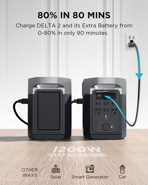 купить Зарядные устройства и аккумуляторы EcoFlow Delta 2 Extra Battery в Кишинёве 