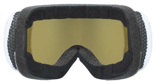 купить Защитные очки Uvex Downhill 2100 WE CV artic SL/wh-gre в Кишинёве 