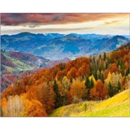 купить Картина по номерам ToyMall 004042 Mozaic cu diamante 40x50 в Кишинёве 