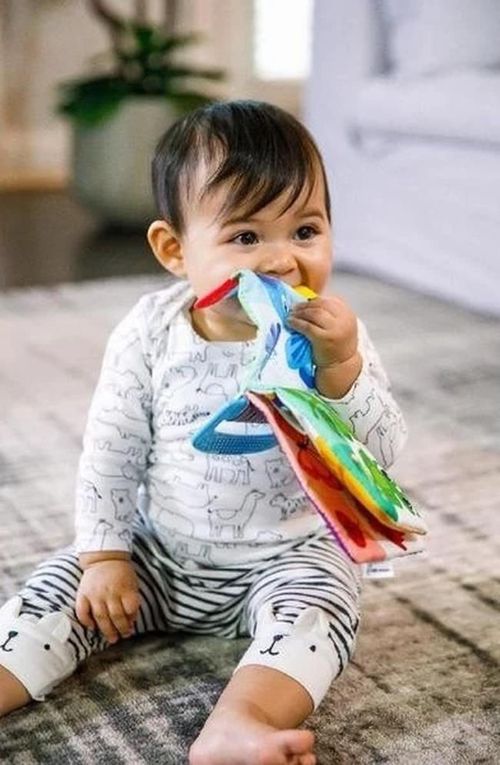 cumpără Iinel dentiție Baby Einstein 11794 Jucarie-carte pentru dentitie în Chișinău 