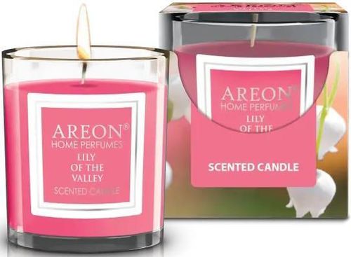 cumpără Aparat de aromatizare Areon Home Perfume Sticks 150ml + свеча (Lily of the Valley) în Chișinău 