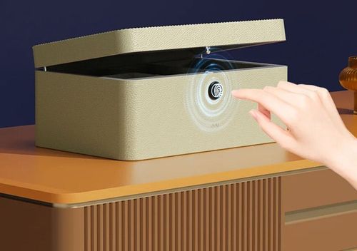 купить Мебельный сейф Deli DLAE205-GN 150х330х220мм, зеленый (для ювелирных изделий) в Кишинёве 