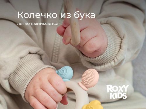 cumpără Iinel dentiție Roxy Kids RWDN-001 Штурвал, прорезыватель силиконовый с кольцом из бука în Chișinău 