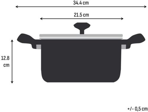 купить Кастрюля Tefal G3284443 Excellence+ 20cm 2,7l в Кишинёве 