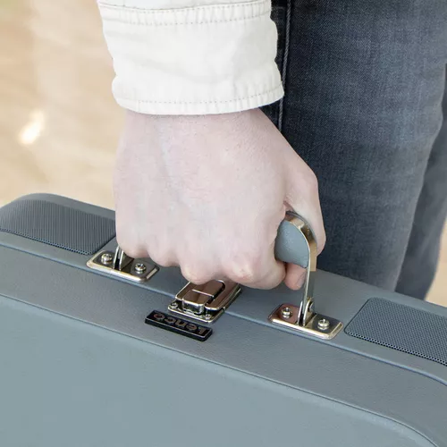 купить Проигрыватель виниловый Lenco TT-116GY в Кишинёве 