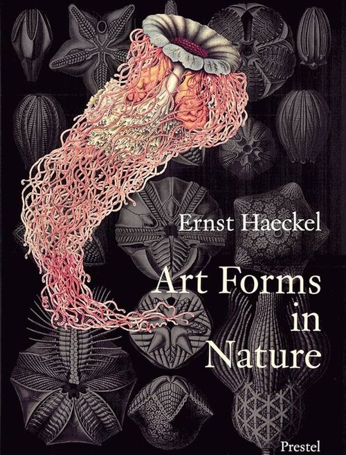 купить Ernst Haeckel - Art Forms in Nature 22 Pull-Out Posters в Кишинёве 