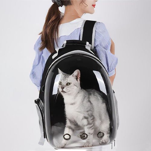 cumpără Transport pentru animale Jumi CD-281264 Rucsac pentru animale de companie, Negru în Chișinău 