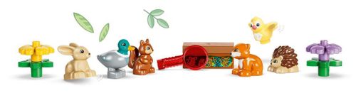 cumpără Set de construcție Lego 10480 Discovery Forest with Wild Animals în Chișinău 