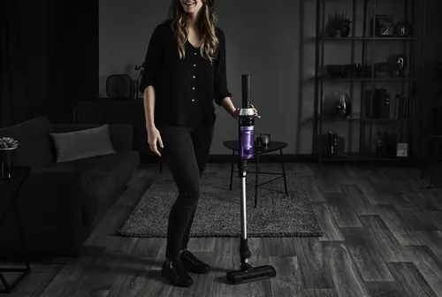 cumpără Aspirator fără fir Rowenta RH1129WO în Chișinău 