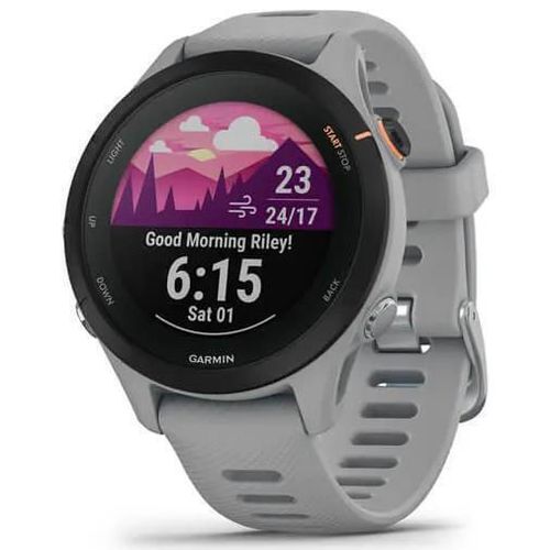 cumpără Ceas inteligent Garmin Forerunner 255S Powder Grey (010-02641-12) în Chișinău 