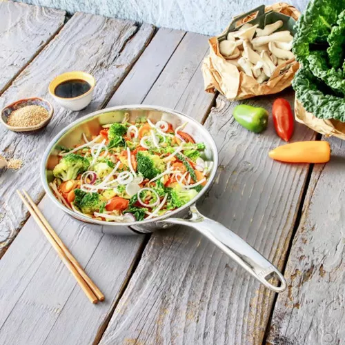 купить Сковорода Cristel PS20CPF Castel PRO Multiply 20cm в Кишинёве 