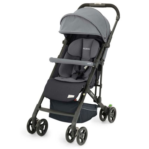 купить Детская коляска Recaro Easylife Elite 2 Prime Silent Grey (00089110310050) в Кишинёве 