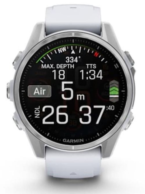 купить Смарт часы Garmin Fenix 8 – 43 mm, Silver with Whitestone Silicone Band (010-02903-00) в Кишинёве 