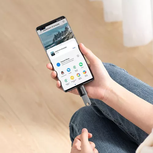 купить Переходник для IT Baseus ZJJQ000001 OTG USB-A 3.1 to Type-C 3.1 Ingenuity Series, Black в Кишинёве 