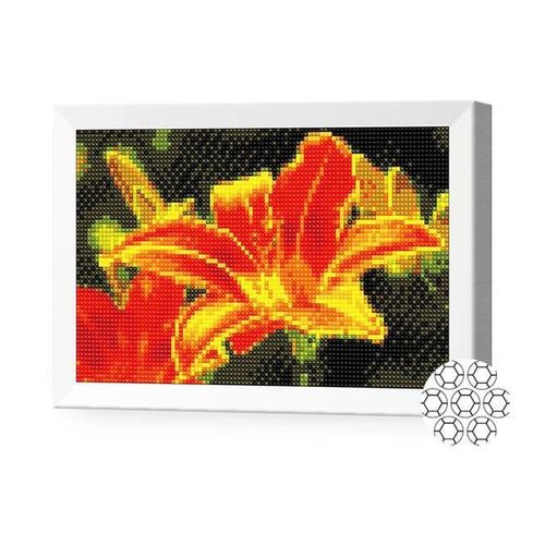 купить Картина по номерам Art Gallery JS20009 Mozaic cu diamante 20x30cm Crinul aramiu в Кишинёве 