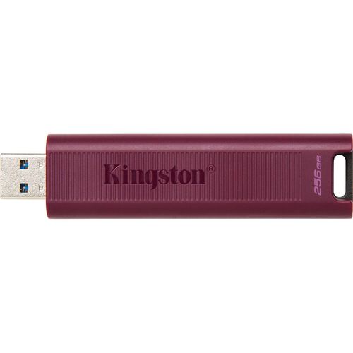 купить Флеш память USB Kingston DTMAXA/256GB в Кишинёве 