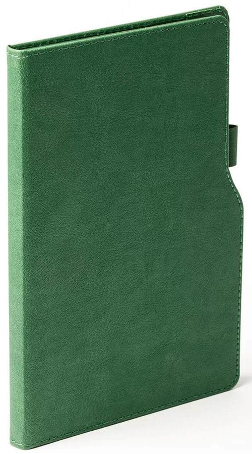 купить Блокнот Akklas Ежедневник недатир. 13x21см, 96 листов, зеленый в Кишинёве 