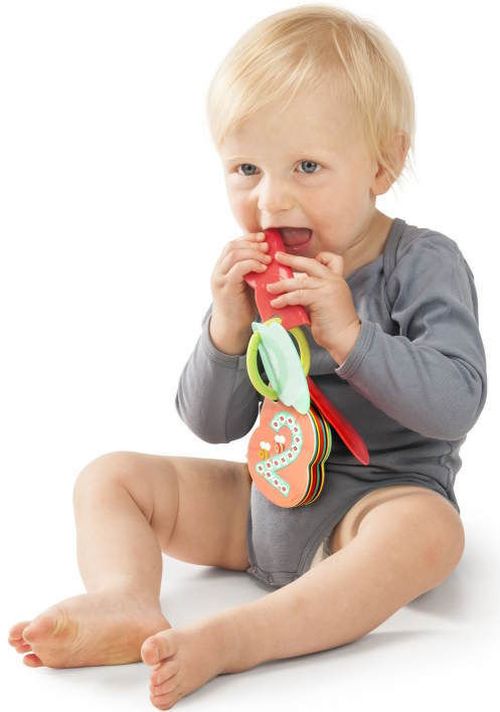 купить Игрушка Sophie la Girafe 230794 Cărțulie în imagini pe inel в Кишинёве 