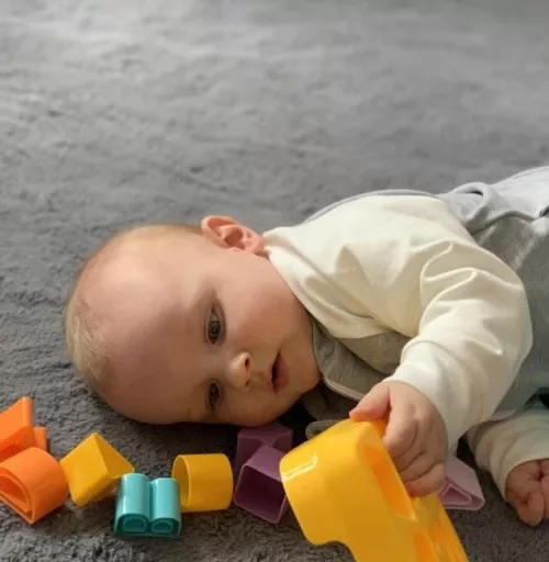 cumpără Sortator miscellaneous 40058 BAYO Сортер în Chișinău 