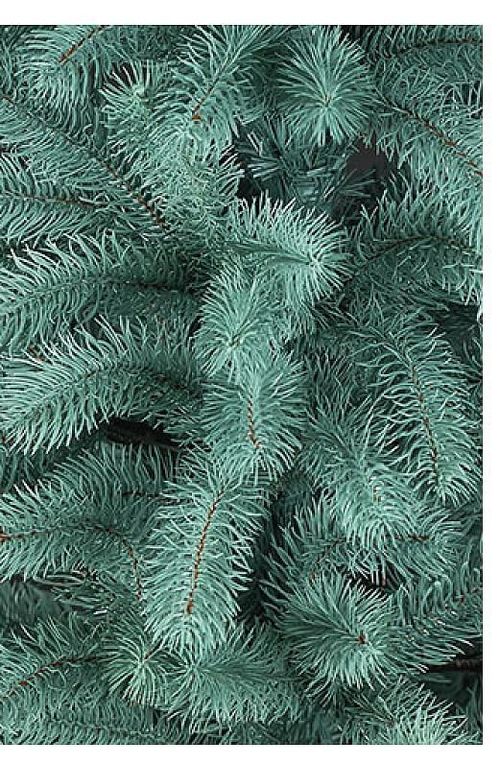 купить Декоративная ёлка Promstore 47680 Brad artificial Prezident albastru, ace turnate, 250cm, 1156ramuri, PE в Кишинёве 