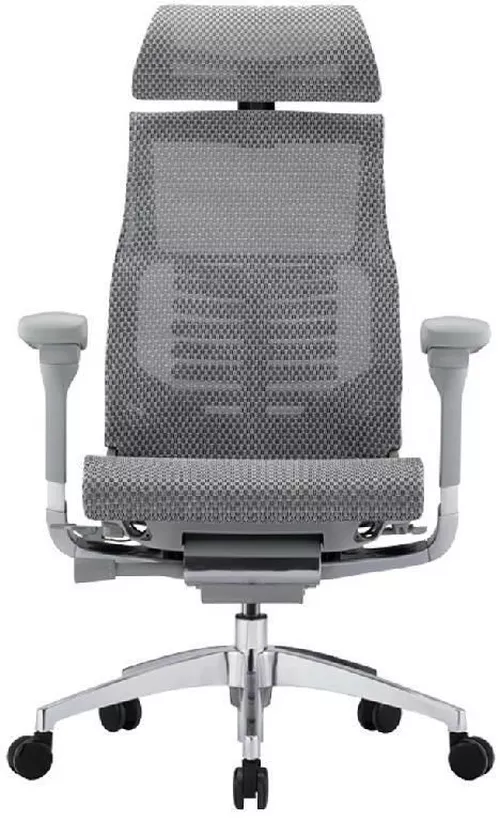 купить Офисное кресло ART Pofit 2 Natural T-168-B2 PF2-AG-HAM-5D-L в Кишинёве 