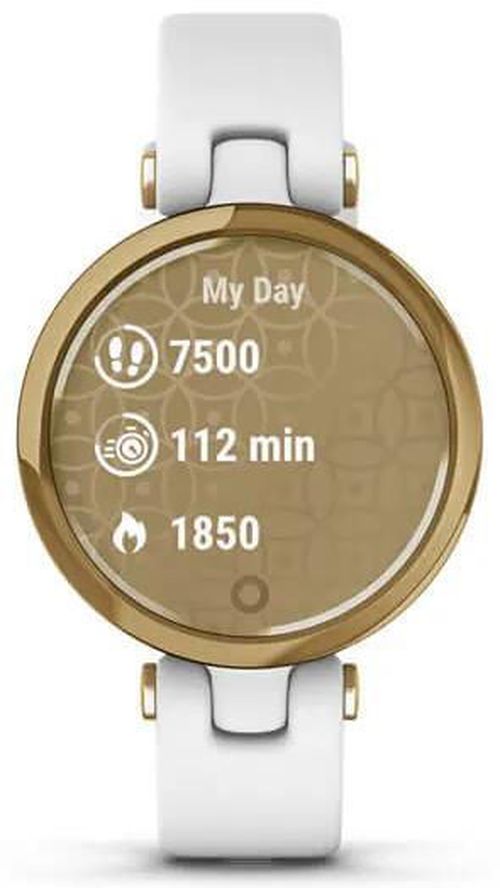 cumpără Ceas inteligent Garmin Lily™ (010-02384-B3) în Chișinău 