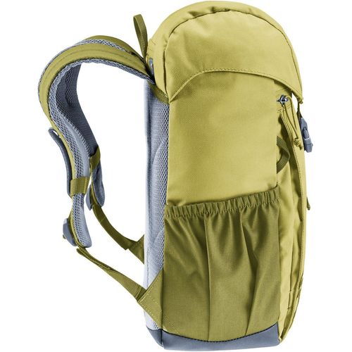 cumpără Rucsac pentru copii Deuter Waldfuchs 10 linden-cactus (3610225 1206 0) în Chișinău 