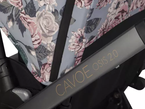 купить Детская коляска Cavoe Osis Gondola Bouquet в Кишинёве 
