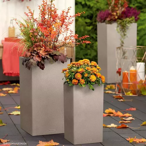 cumpără Ghiveci pentru flori Lechuza Canto Color Tower 30, Sandy Beige în Chișinău 