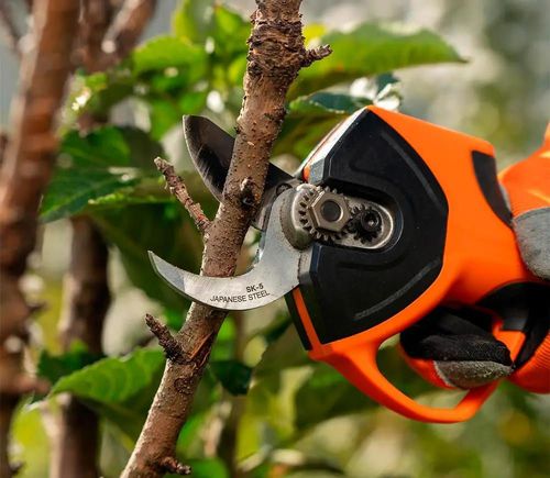 купить Ножницы садовые Daewoo DAGP 3216Li SET в Кишинёве 