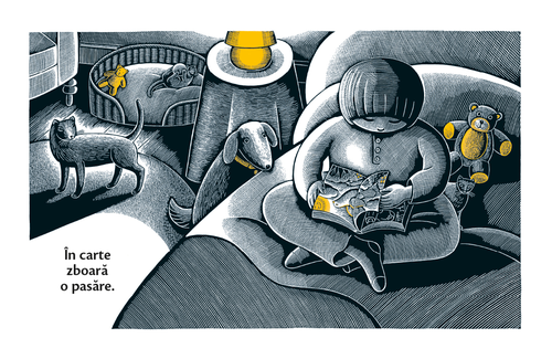 купить Casa în timpul nopții  - de Susan Marie Swanson ilustrații de Beth Krommes в Кишинёве 