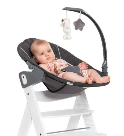 cumpără Leagăn pentru bebeluși Hauck Alpha Bouncer 2in1 Deluxe Melange Grey în Chișinău 