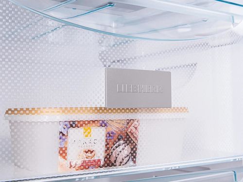 купить Морозильник Liebherr GN 2723 в Кишинёве 