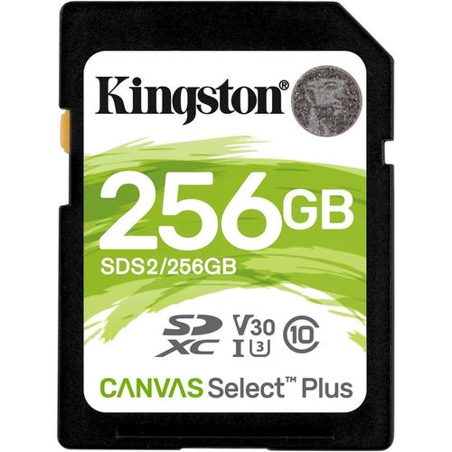 cumpără Card de memorie flash Kingston SDS2/256GB în Chișinău 