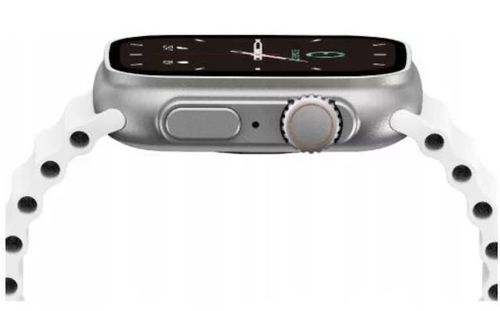 купить Фитнес-трекер Max Com Ecowatch 2, Silver в Кишинёве 