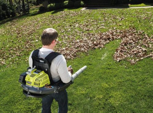 cumpără Suflantă de aer RYOBI RBL42BP 5133001879 în Chișinău 