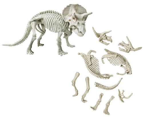 cumpără Jucărie As Kids 1026-50740 Descopera Dinozaurul Triceratops în Chișinău 