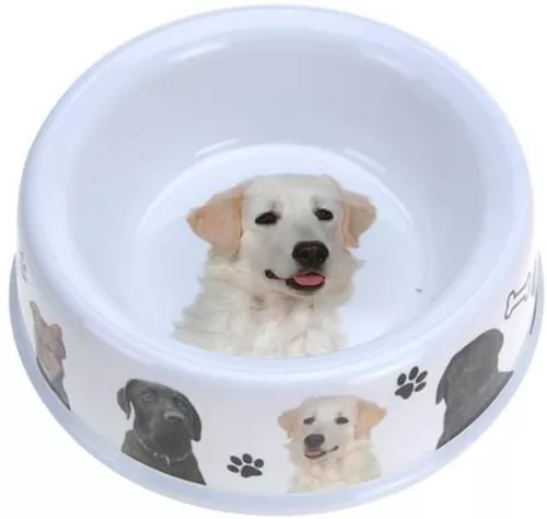 cumpără Bol pentru câini și pisici Holland 11925 Pets Миска для животных Pets 21.5cm меламин în Chișinău 